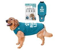 BellyGuard Dog Surgery Recovery Suit, Dog Recovery Suit for Female and Male, Dog Surgical Suit, Cozy Dog Onesie, Dog Body Suit After Surgery, Dog Vest