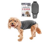BellyGuard Recovery Suit for Dogs, Comfy Dog Surgery Suit, Female Spay and Male Neuter Onesie for Post-Op Care