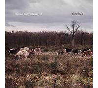 Below,Simon Quartet - Encircled
