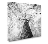 Below The Forest Canvas Print | Gallery Wrapped 30mm Frame Wall Art | 14x14 inches | Ready to Hang | Modern Landscape Picture | Living Room Bedroom Lounge Office
