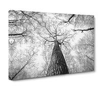 Below The Forest Canvas Print | Gallery Wrapped 30mm Frame Wall Art | 30x20 inches | Ready to Hang | Modern Landscape Picture | Living Room Bedroom Lounge Office