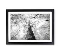 Below The Forest Painting Framed Print | A2 Black Framed Wall Art | Ready to Hang | Modern Landscape Picture | Living Room Bedroom Lounge Office