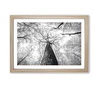 Below The Forest Painting Framed Print | A2 Oak Framed Wall Art | Ready to Hang | Modern Landscape Picture | Living Room Bedroom Lounge Office