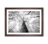 Below The Forest Painting Framed Print | A2 Walnut Framed Wall Art | Ready to Hang | Modern Landscape Picture | Living Room Bedroom Lounge Office