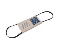 Belt 1231H Poly V Washing Machine 41003164 Candy