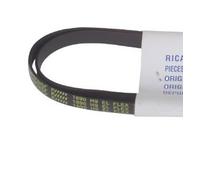 Belt 1890h9 Mael Hoover for Candy, Zerowatt tumble dry, ibérna, Marking 9 Teeth Elastic Strap Belt on the back: 1890 El (H9). Iberna: abi25 abi26 abi27 Candy: C101 °C120 °C215 °C47 °C57 CA1100 CA1200 CA2100 CA2200 CC230 CC240 cp350x cp360ex cp370ex cpc470x cpc480ex C60 °C95x C90XW Hoover: sc20x SF31 sf31e SV23 Rosieres: SH51 SH52 SP650 Sp6505 SP680 sp6955 sp6959 sh6505 sh6509
