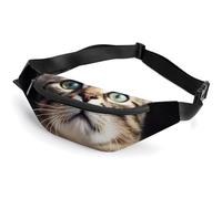 Belt Bag Fanny Pack for Women Men Waist Pack with Adjustable Strap Guitars Art Crossbody Bag Small Sling Bag, Cat, 36*15cm