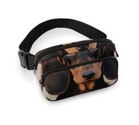 Belt Bag Fanny Pack Waist Bag Dachshund Dog Crossbody Bags for Women Bum Bag Everywhere Belt Bag, style, 20x13cm, style, 20x13cm