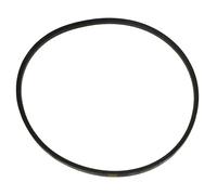 Belt for CASTEL GARDEN CHAMPION SOVEREIGN CA534 CS534 ES500 ES900 TDL534 Mower