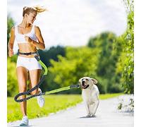 belt Hand-Free Adjustable Dog Leash Pet Coupler with Retractable Bungee for Running and Jogging