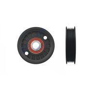 NTY RNK-AU-044 Deflection / Guide Pulley, v-belt