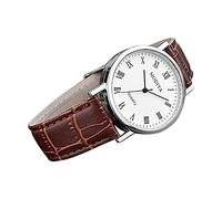 Belt Men's Classic Creative Calendar Roman Watch Strap Scale Dial Men's Watch Gstb100x-1a (Brown, One Size)