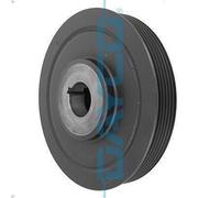 Belt Pulley, crankshaf DAYCO DPV1763 for GRAND VITARA I (FT, HT) 2 2001-2005