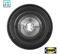 SNR DPF355.29 Crankshaft pulley