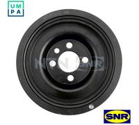 SNR DPF357.12 Crankshaft pulley