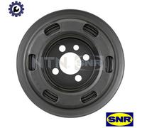 SNR DPF357.19 Crankshaft pulley