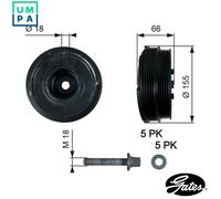 GATES TVD1037A Crankshaft pulley