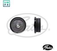 Gates Torsional Vibration Damper Kit - TVD1122A