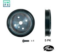 Crankshaft Pulley (TVD) TVD1161A Gates Torsional Vibration Damper 30677464 New