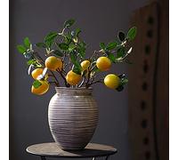 BELUAPI 6pcs Artificial Lemon Branches,21in Imitation Plants Fruit Props Realistic Foam Yellow Fake Lemon Decor,Simulation Lifelike Fruit Model for Vase Home Party Decoration