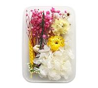 BELUAPI Real Dried Pressed Flowers Leaves Petals for Crafts,Eucalyptus Daisy Hydrangea Fern Leaves Gypsophila Chrysanthemum Rose Mixed Multiple Assorted Dried Flowers
