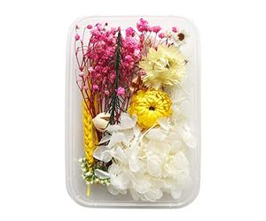 BELUAPI Real Dried Pressed Flowers Leaves Petals for Crafts,Eucalyptus Daisy Hydrangea Fern Leaves Gypsophila Chrysanthemum Rose Mixed Multiple Assorted Dried Flowers