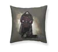 BELUM | Harry Potter Cushion Cover Size: 50 x 50 cm - Model: Hagrid A - Fabric: Half Panama 100% Cotton, 250 g.