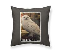 BELUM | Harry Potter Cushion Cover Size: 50 x 50 cm - Model: Hedwig Partner A - Fabric: Half Panama 100% Cotton, 250 g.