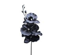 belupai Artificial Phalaenopsis Flower Single Branch,15inches Fake Black Orchid Long Stem Bulk Faux Silk Dancing Lady Bouquet for Home Office Wedding Party Vase Decor DIY Flower Arrangement-1pcs