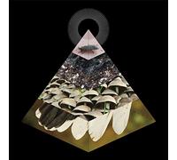 Belus - Apophenia