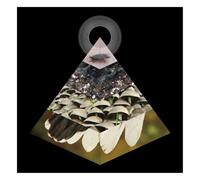 Belus - Apophenia