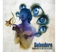 Belvedere – Hindsight Is The Sixth Sense – Vinyl – Cobra