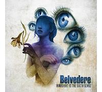 Belvedere - Hindsight Is The Sixth Sense [VINYL]