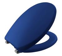 Bemis 2850ZCPT604 Buxton Toilet Seat, Marine Blue
