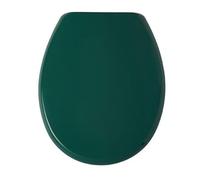 Bemis Buxton Hunter Green Toilet Seat Ultra-Fix® 2850CPT107
