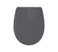 Bemis Click & Clean Classic Grey Standard Soft Close Quick Release Toilet Seat