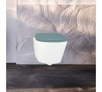 BEMIS Hudson Ultra-Fix Matt Toilet Seat - Pistachio. Wooden Toilet Seat with Water Based Paint for Easy Clean. Adjustable Matt Black Hinges, Universal & Easy Installation
