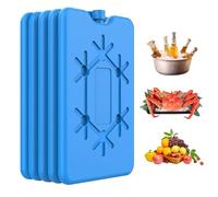 Bemonew Ice Packs for Cool Box 5PCS Ice Packs for Cool Box 200ml Reusable Freezer Pads 16.5x11x1.5cm Brick Blocks for Travel Picnic Lunch, Car