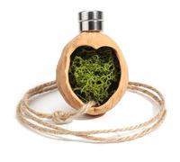 Bemonew Jumping Spider Enclosure Jumping Spider Hideout with Magnet & Rope - Adorable Heart-Shaped Habitat Decor for Spiders, Enrichment Accessory