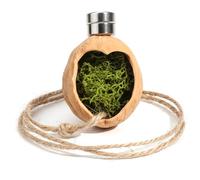 Bemonew Jumping Spider Hideout with Magnet & Rope - Adorable Heart-Shaped Spider Habitat Decor for Jumping Spiders, Enrichment Accessory