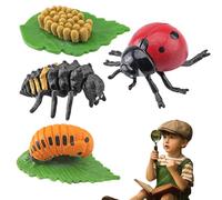 Bemonew Ladybug Growing Kit, Life Cycle Toys for Kids, Simulation Animal Figurines, Educational Toys for Boys, Girls
