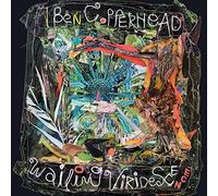 Ben Copperhead - Wailing Viridescence [VINYL]