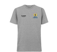 Ben Foster Logo Men's T-Shirt - Gray / 3XL