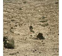 Ben Howard - Noonday Dream