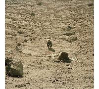Ben Howard Noonday Dream Double LP Vinyl 6748941 NEW