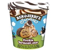 Ben & Jerry Sundae Cookie Vermont Star 324g