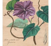 Ben Lamar Gay - Yowzers [Vinyl LP] [VINYL]