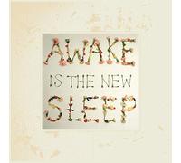 Ben Lee : Awake Is the New Sleep VINYL 10th Anniversary 12" Album 2 discs