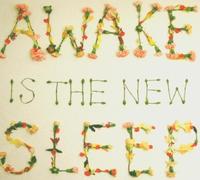 Ben Lee - Awake Is The New Sleep [German Import]
