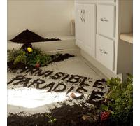 Ben Levin Group - Invisible Paradise
